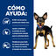 156 g Hill's Adult Mini Prescription Diet Metabolic Estofado de Pollo y Verduras para perros, , large indicador imagen numero 4
